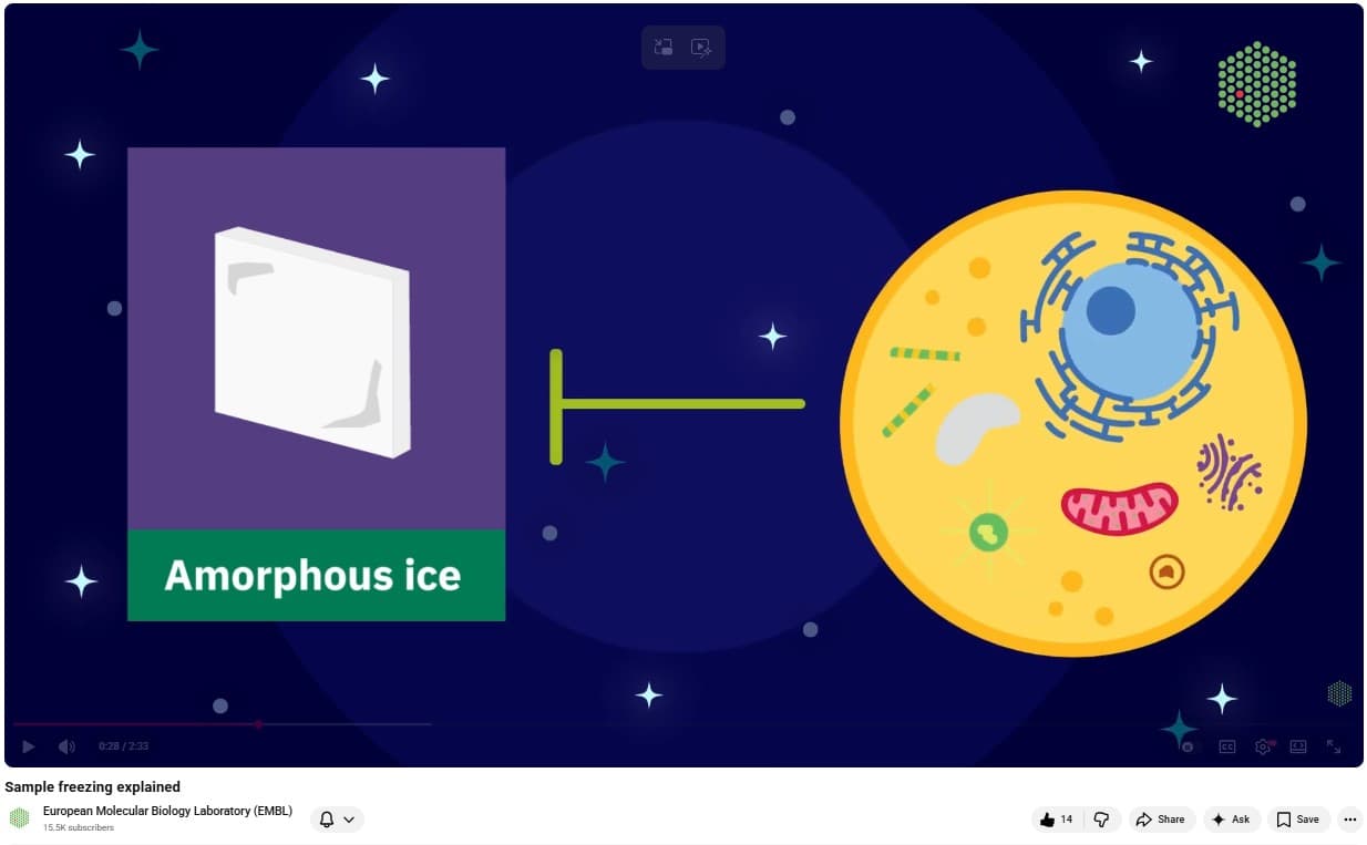 Sample Freezing Explained